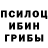 Псилоцибиновые грибы Psilocybine cubensis Esnom Irrevach