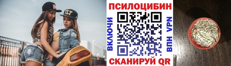 Галлюциногенные грибы мицелий  продажа наркотиков  Светогорск 